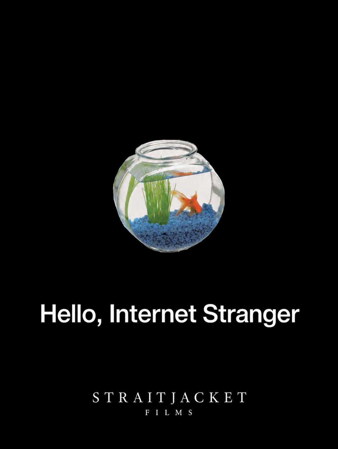 Hello, Internet Stranger poster